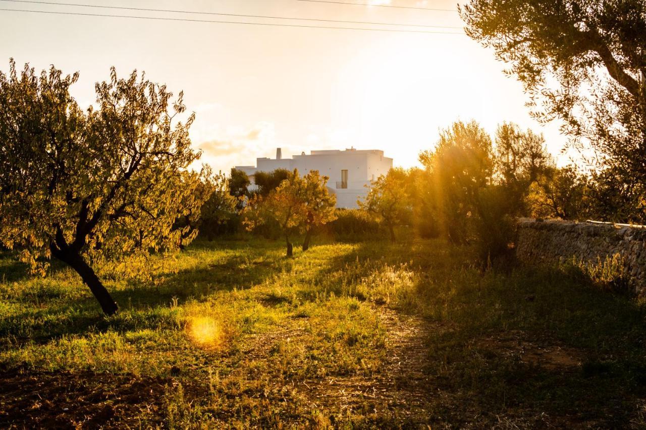 Masseria D'Erchia Monopoli Zewnętrze zdjęcie