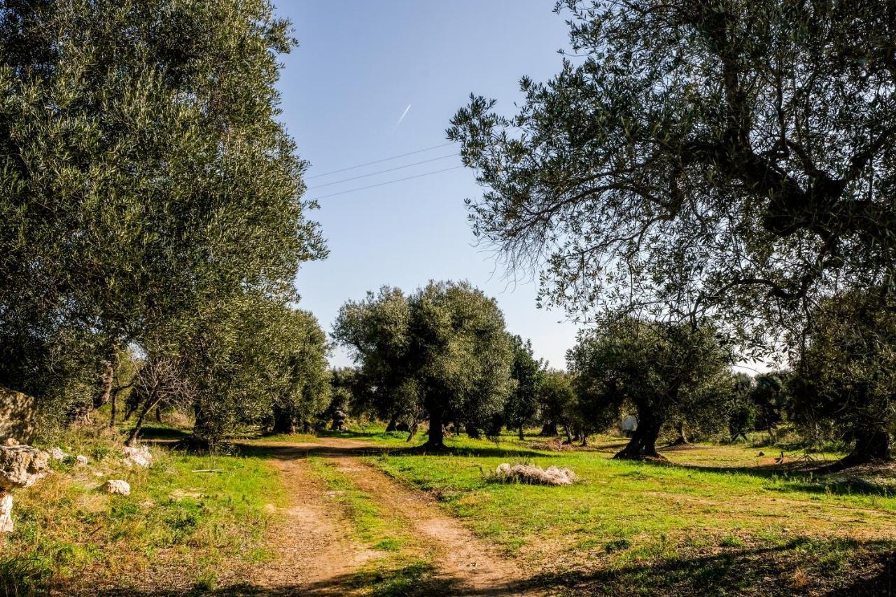 Masseria D'Erchia Monopoli Zewnętrze zdjęcie